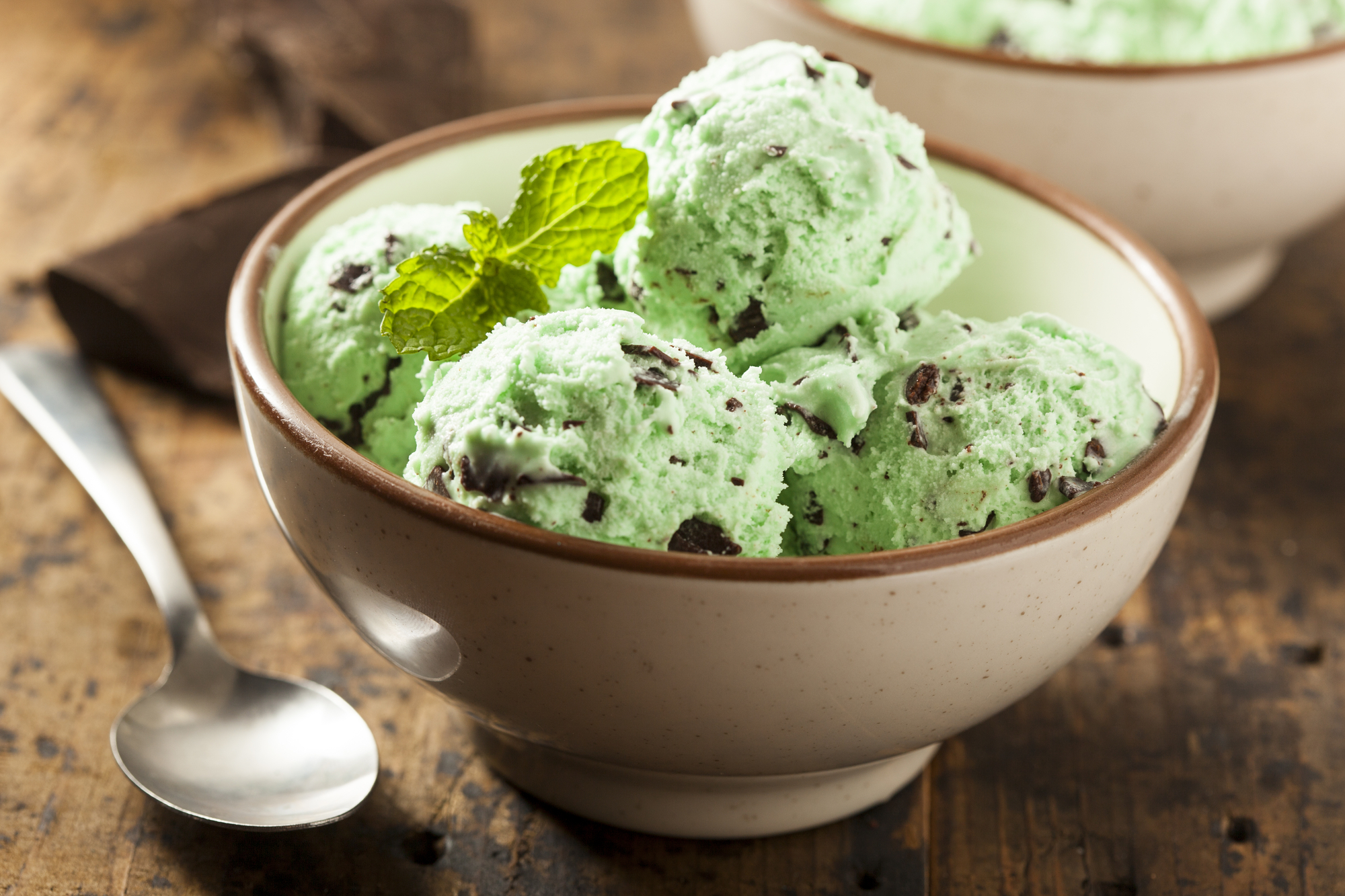 Reverse Your Fatty Liver Chocolate Mint Chip Non-Dairy Ice Cream